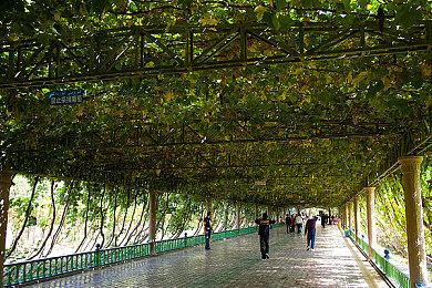 R星发文回应 称《GTA6》一定会超出预期